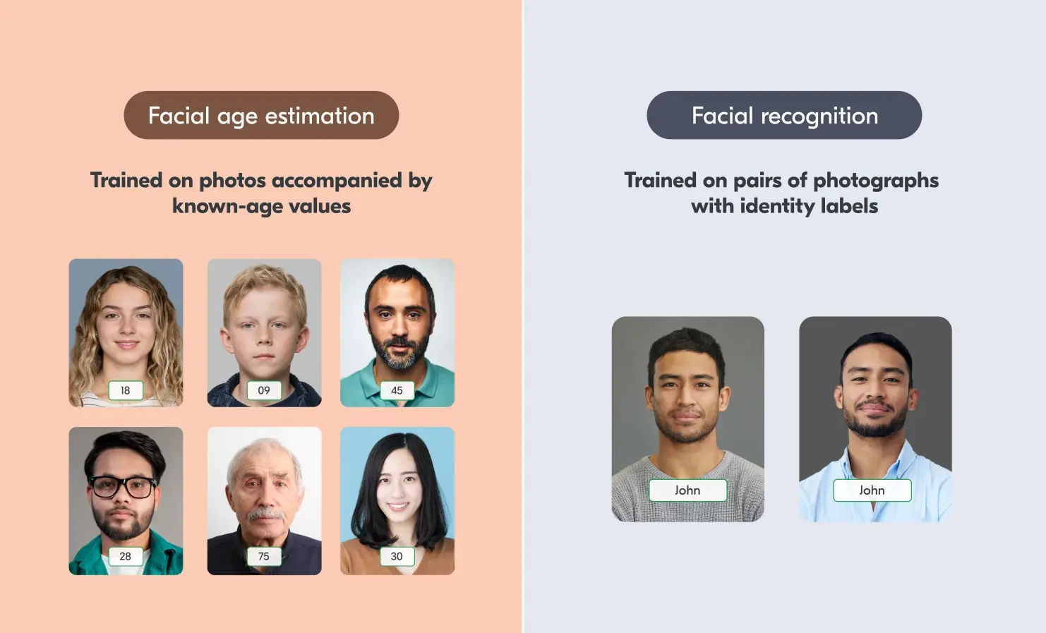 Facial age estimation is trained on photos accompanied by known-age values. Facial recognition is trained on pairs of photographs with identity labels.