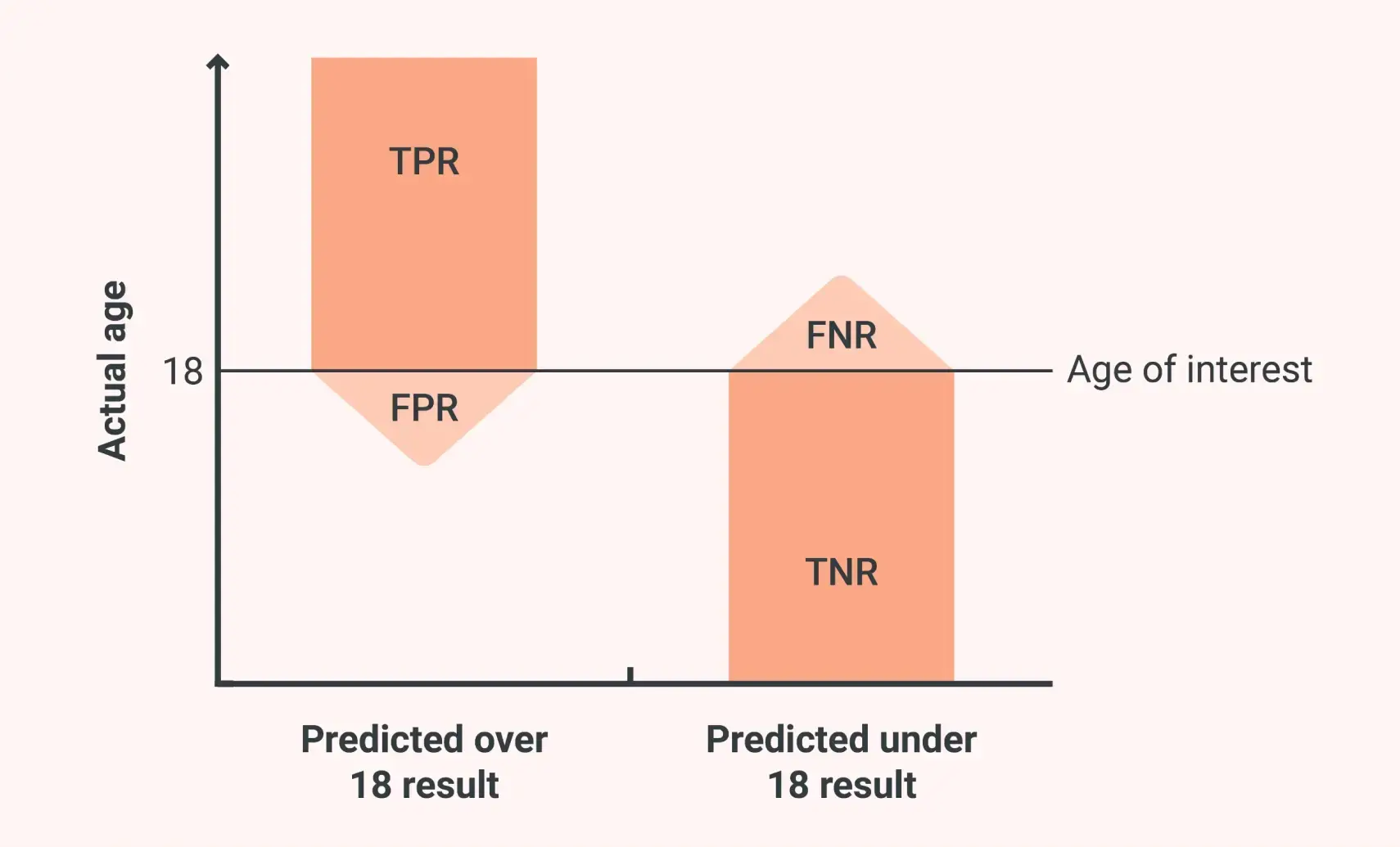 White paper accuracy graphic, showing the relationship between actual age, predicted result, true or false positive rate, and true or false negative rate